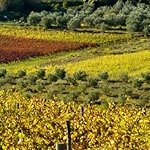 HP 27-CR0035NY i5‑13th / 8GB / 512SSD 27 WHITE