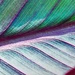 LG 55UR78006 55 4K UHD Smart LED TV — α5 AI, HDR10/HLG, ALLM, webOS