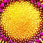 LG 65UR8050 PSB 65 4K UHD Smart LED TV — α7 Gen6 AI, HDR, ALLM