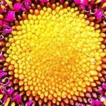 LG 75UR8050 PSB 75 4K UHD Smart LED TV — α7 Gen6 AI, HDR, webOS