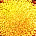 LG 86UR8050 PSB 86 4K UHD Smart LED TV — α7 Gen6 AI, ALLM, webOS