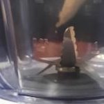 БЛЕНДЕР TEFAL BL133A65, 600 Вт