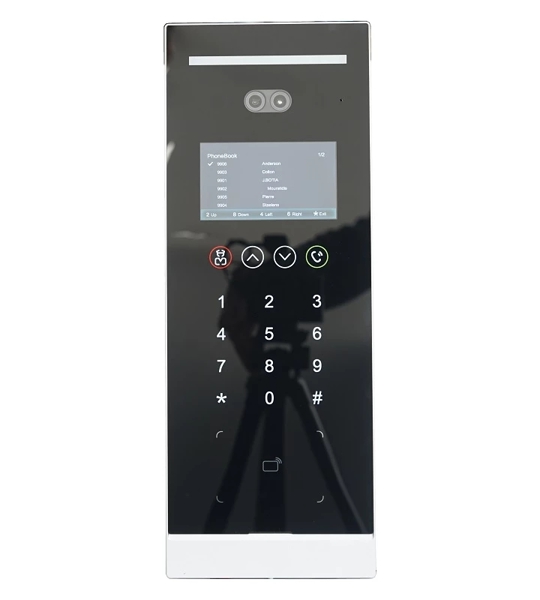 IP Вызывная панель Dahua DHI-VTO6531H