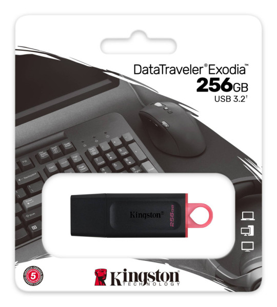 USB флеш-накопитель Kingston DataTraveler Exodia 256GB USB 3.2