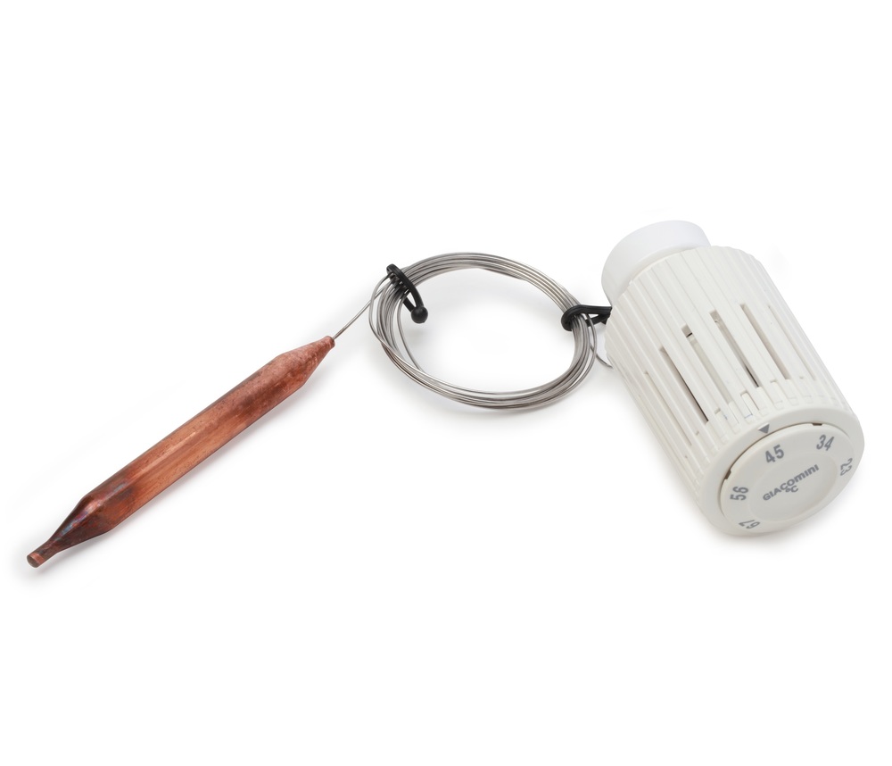 Термоголовка Giacomini R462LX001 20-70°C с датчиком