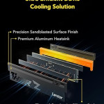 Lexar DDR5 32GB (2x16) Kit 6000MHz