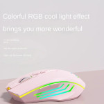 Беспроводная игровая мышь Holy Sword, 1600 DPI, с RGB подсветка